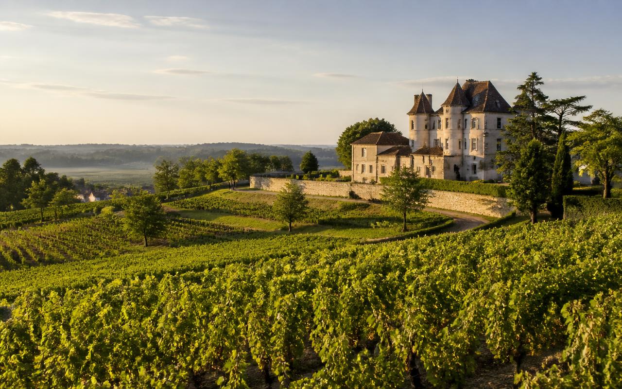 Taxi vignobles depuis Bordeaux : Saint-Émilion, Médoc et Graves